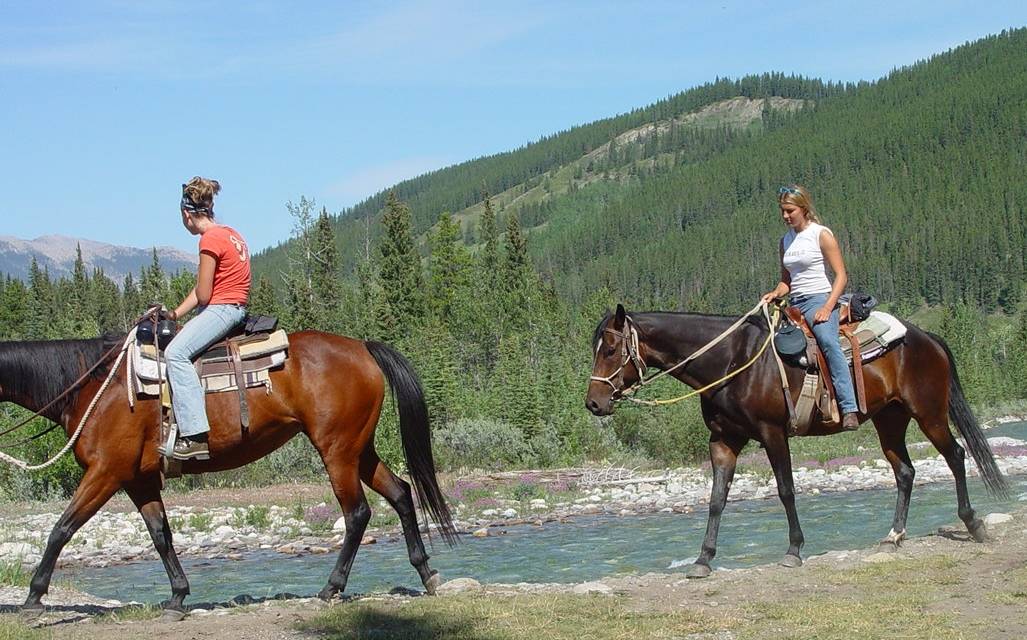 Trail Ride Alberta